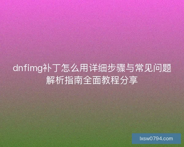 dnfimg补丁怎么用详细步骤与常见问题解析指南全面教程分享