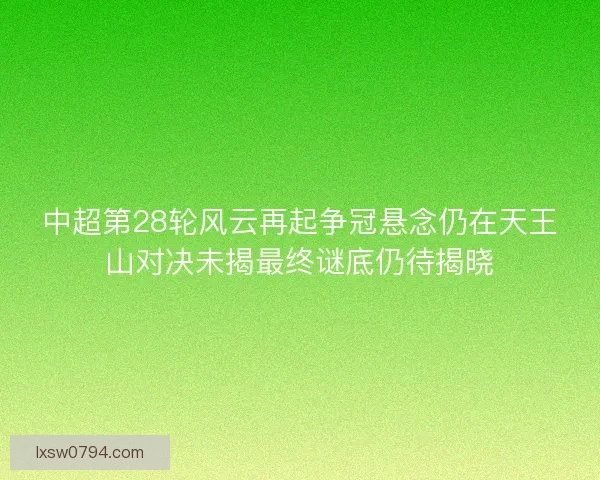 中超第28轮风云再起争冠悬念仍在天王山对决未揭最终谜底仍待揭晓